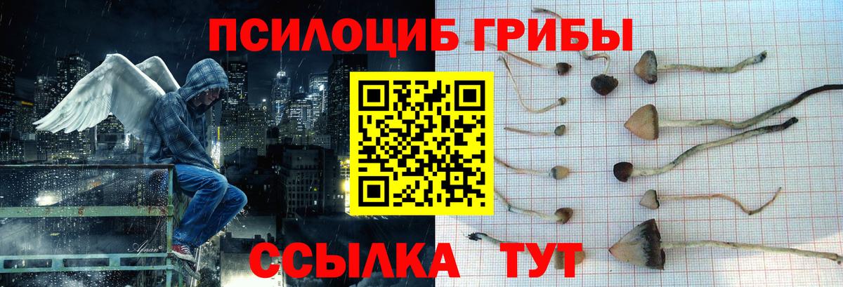 Сарапул  Галлюциногенные грибы Psilocybine cubensis  Галлюциногенные грибы ЛСД  Вход с VPN 