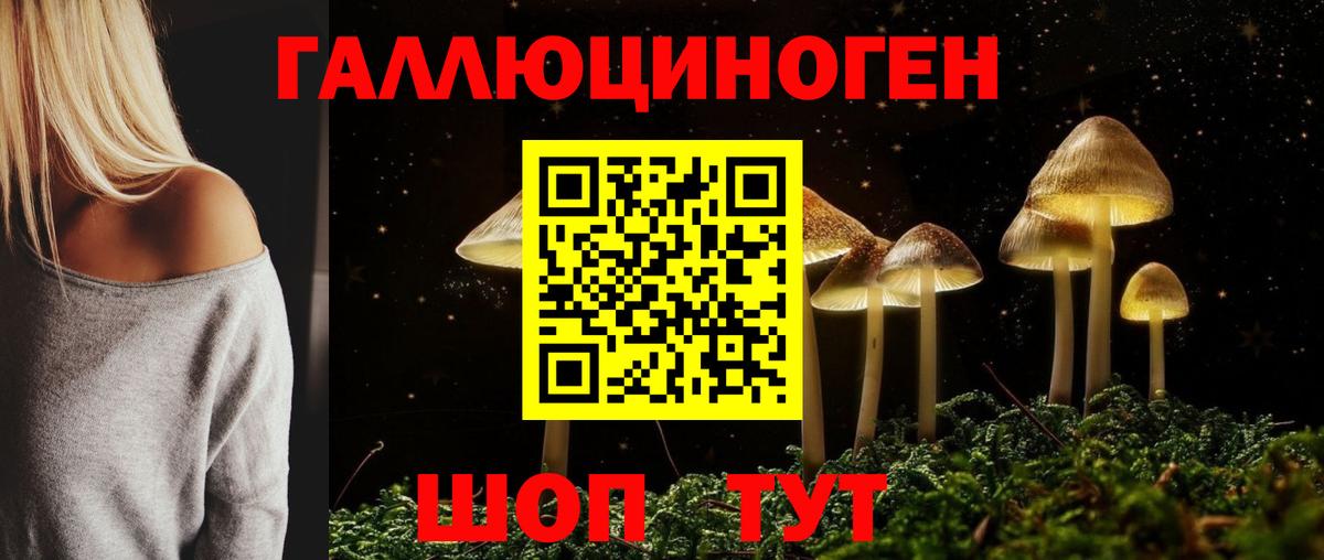 Псилоцибиновые грибы Cubensis Сарапул
